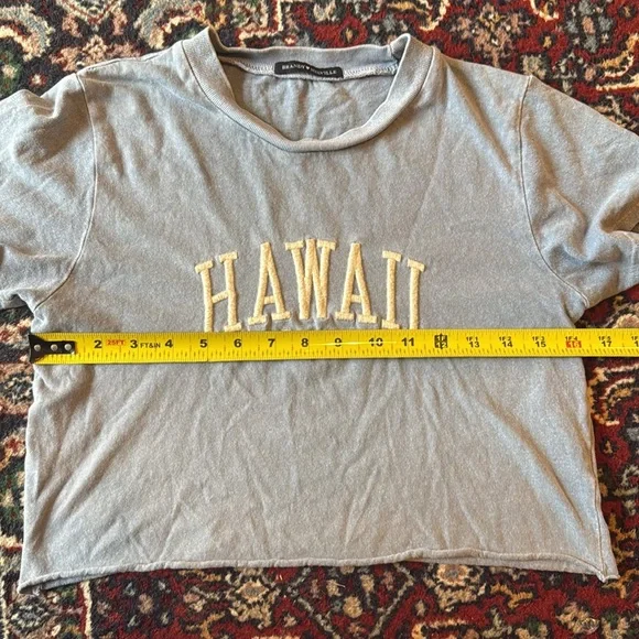 Brandy Melville Hawaii Baby Cropped Tee - Picture 4 of 7